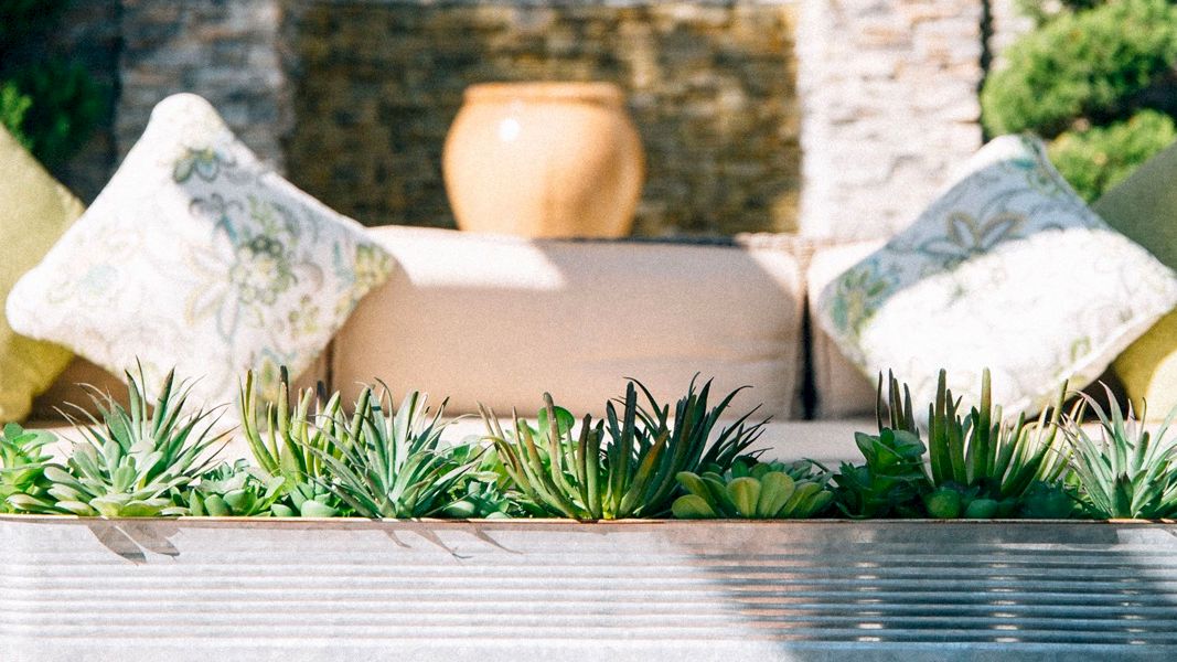 Outdoor patio sofa with decorative pillows and a metal planter filled with green succulents on a sunny day.