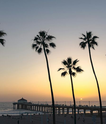 Tall palm trees line a beach at sunset, a wooden pier stretching into the ocean, silhouettes against a warm, fading sky.