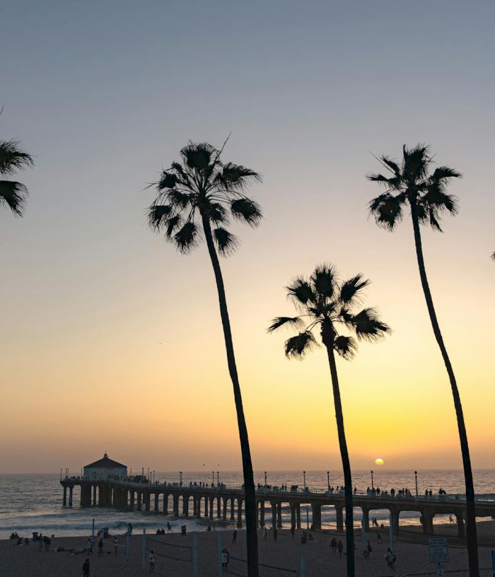 Tall palm trees line a beach at sunset, a wooden pier stretching into the ocean, silhouettes against a warm, fading sky.
