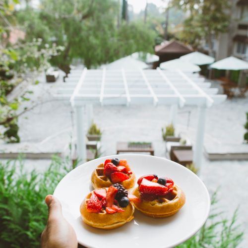 Delicious picnic scene: a plate with mini donuts and fruit on a white tray, held outdoors by a lush, serene poolside garden.